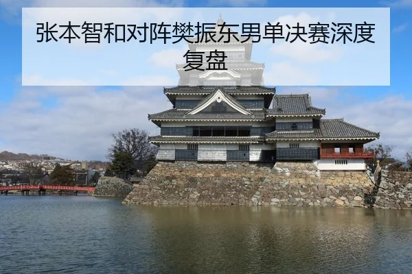 张本智和对阵樊振东男单决赛深度复盘